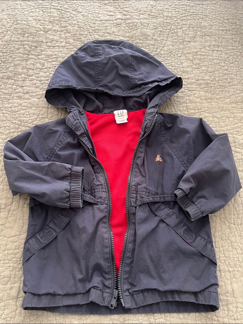 GAP Kids Navy Hooded Jacket with Red Lining and Embroidered Detail